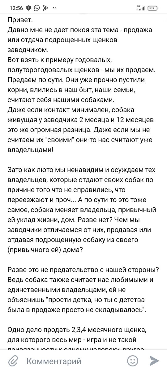 Я сама делаю ремонт в своей квартире по выходным