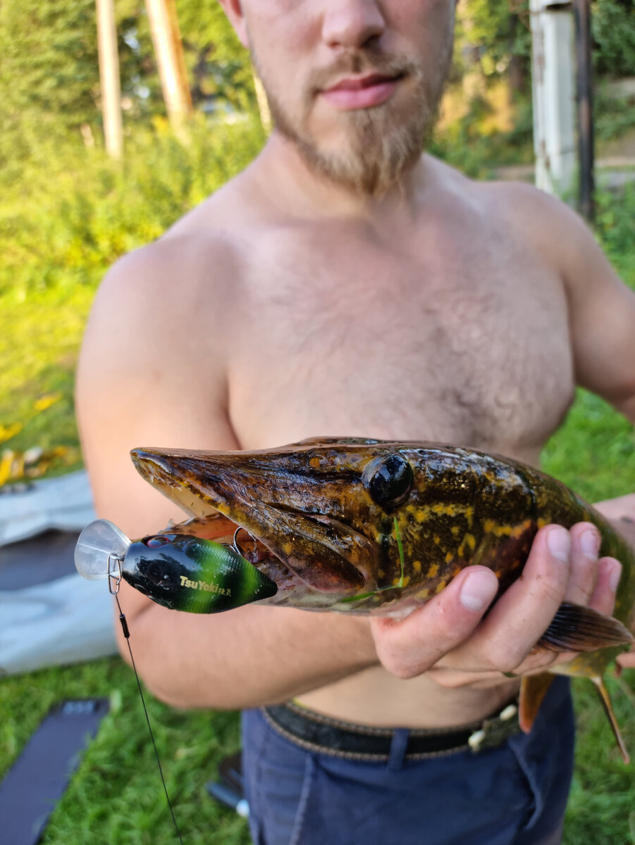 Титан на торфянике