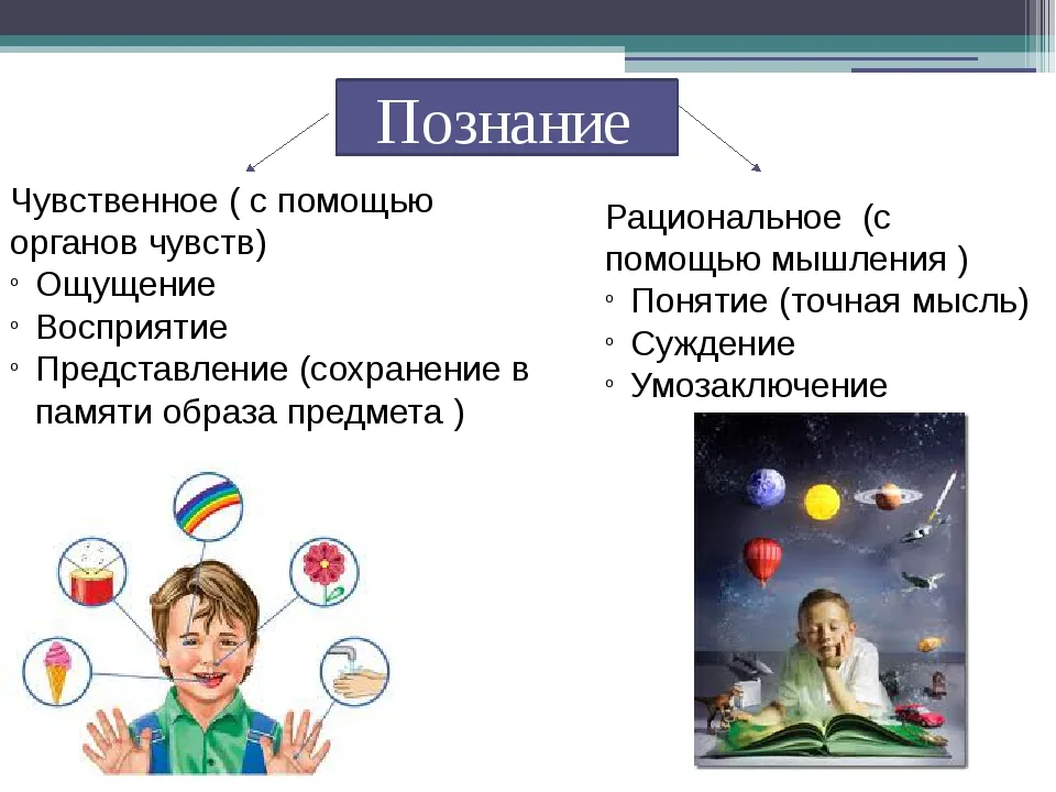 Познания действительности. Познание. Чувственное познание примеры. Человек познает мир. Понятие познания.