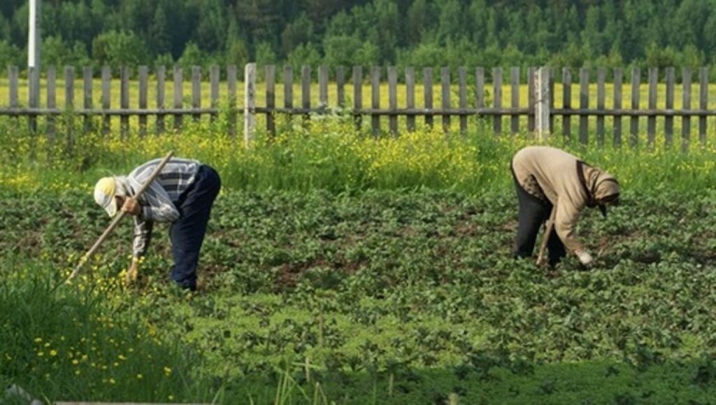 взято из открытых источников