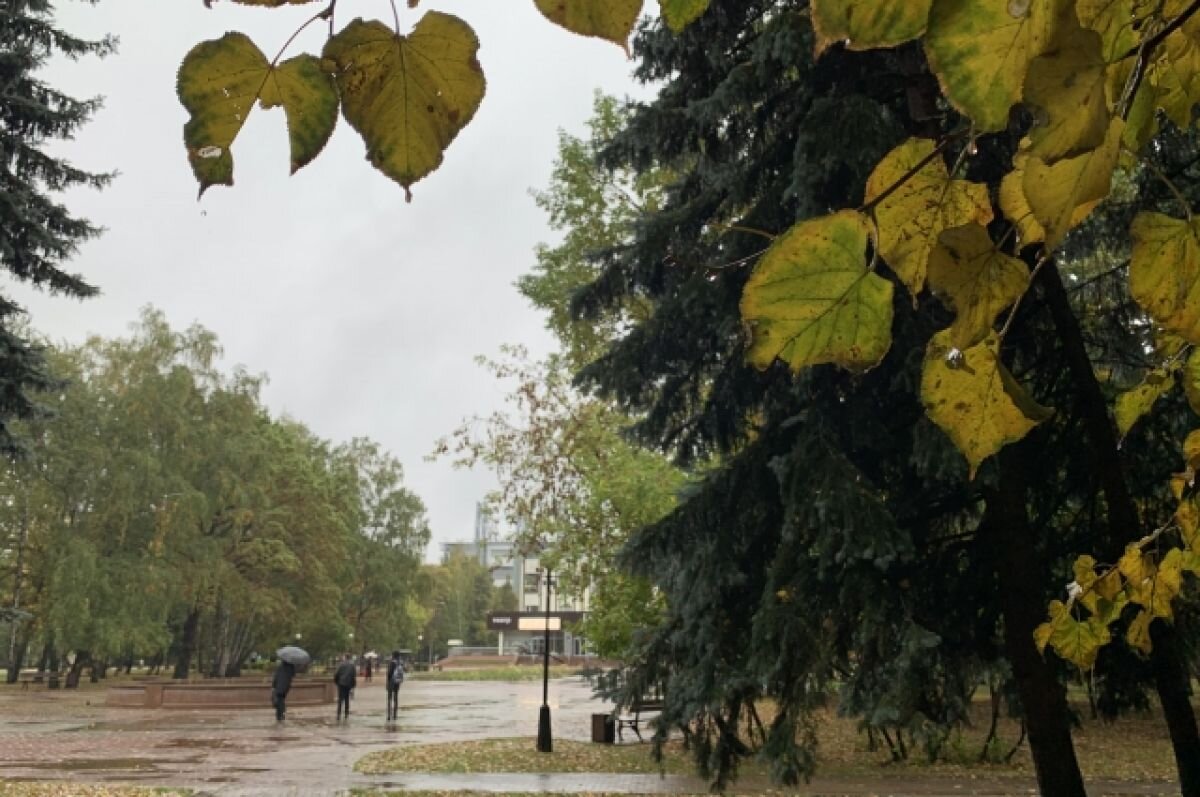    В Краснодарском крае синоптики прогнозируют кратковременные дожди