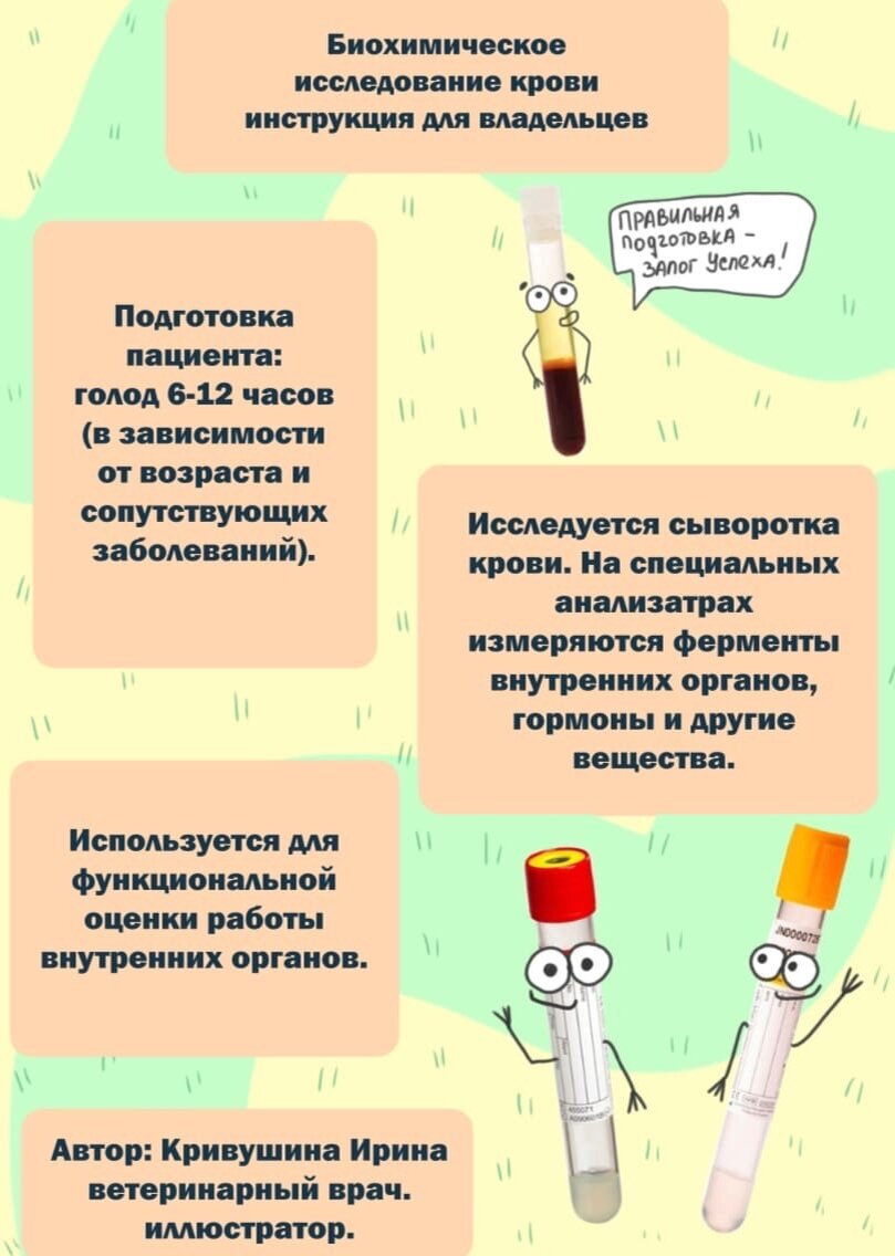 Что вы знаете об общем анализе крови?

Мы подготовили для вас инструкции о биохимическом исследовании крови кошек и собак.-2