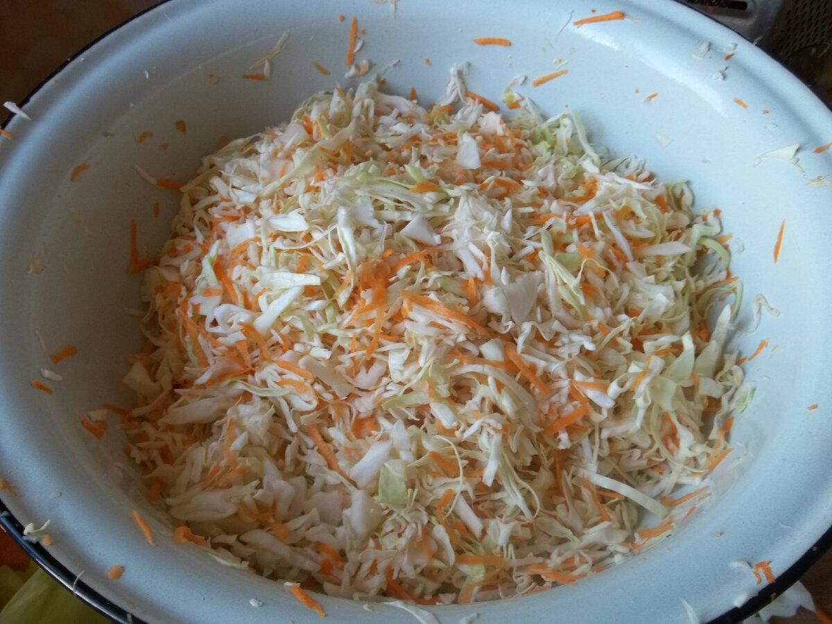 Благоприятные дни для засолки капусты на зиму. В какие дни сентября можно солить капусту. Дни для засолки капусты. Солить капусту по лунному календарю. Дни засолки капусты в октябре.