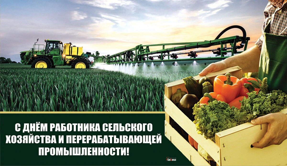 День работника сельского хозяйства и перерабатывающей промышленности. Иллюстрация: «Курьер.Среда»