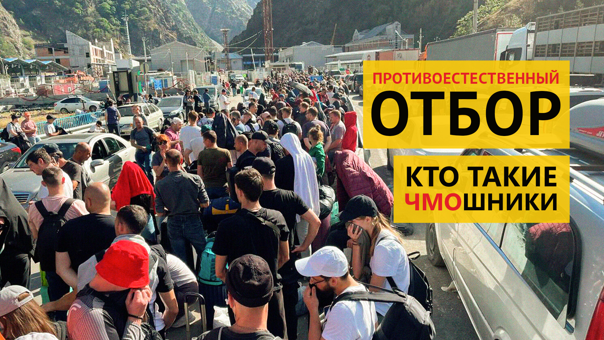 Противоестественный отбор, кто такие чмошники