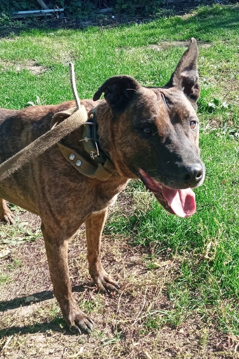 Можно листать