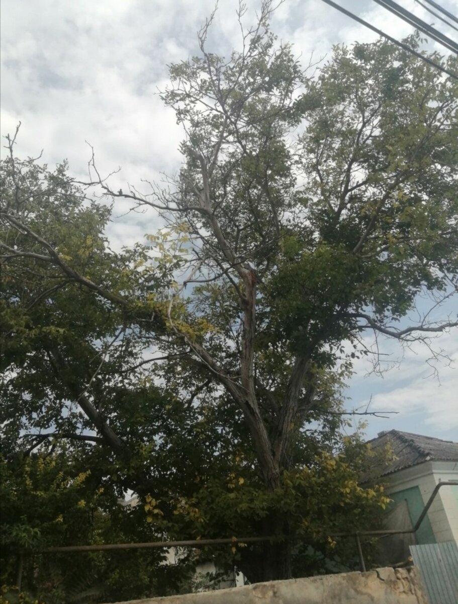 Было