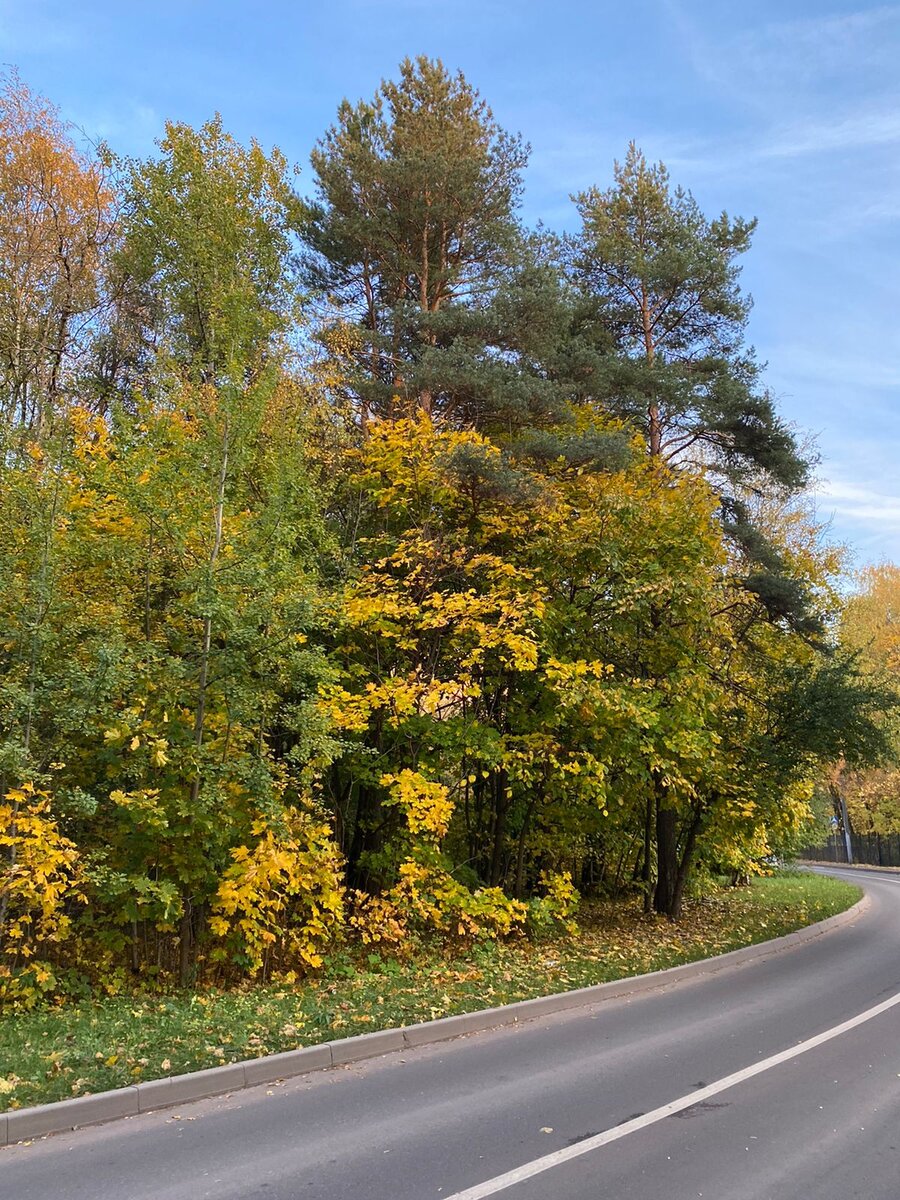 Фото Елены Погореловой