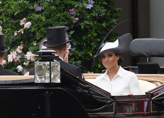 Добавьте описание