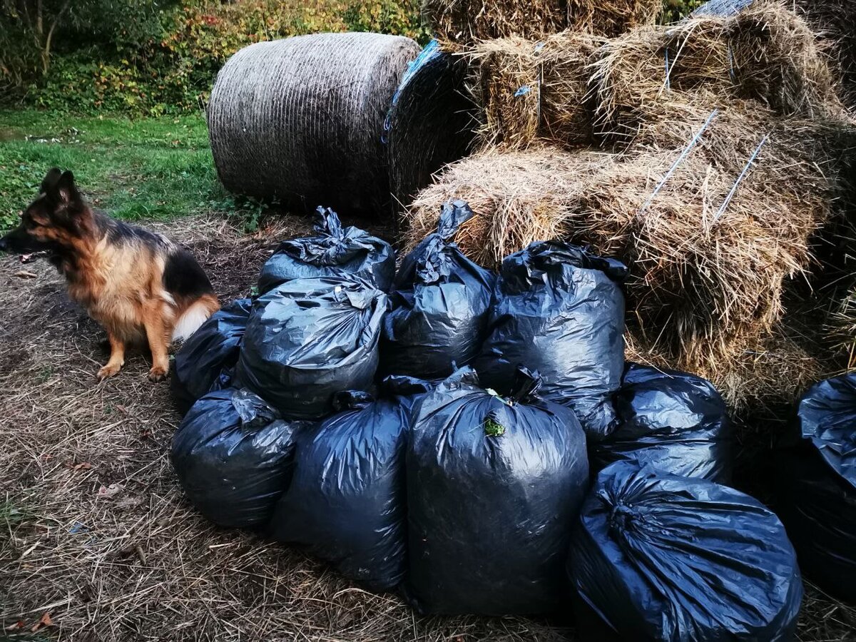 Подписчица Дачного агронома готовятся к мульчированию 