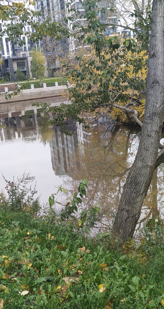 Здесь они встречаются 