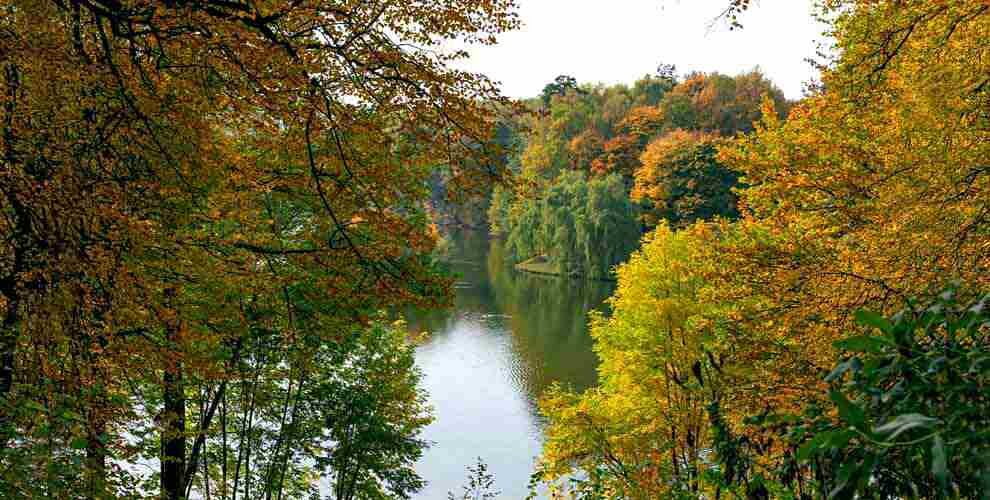 Источник: pixabay.com