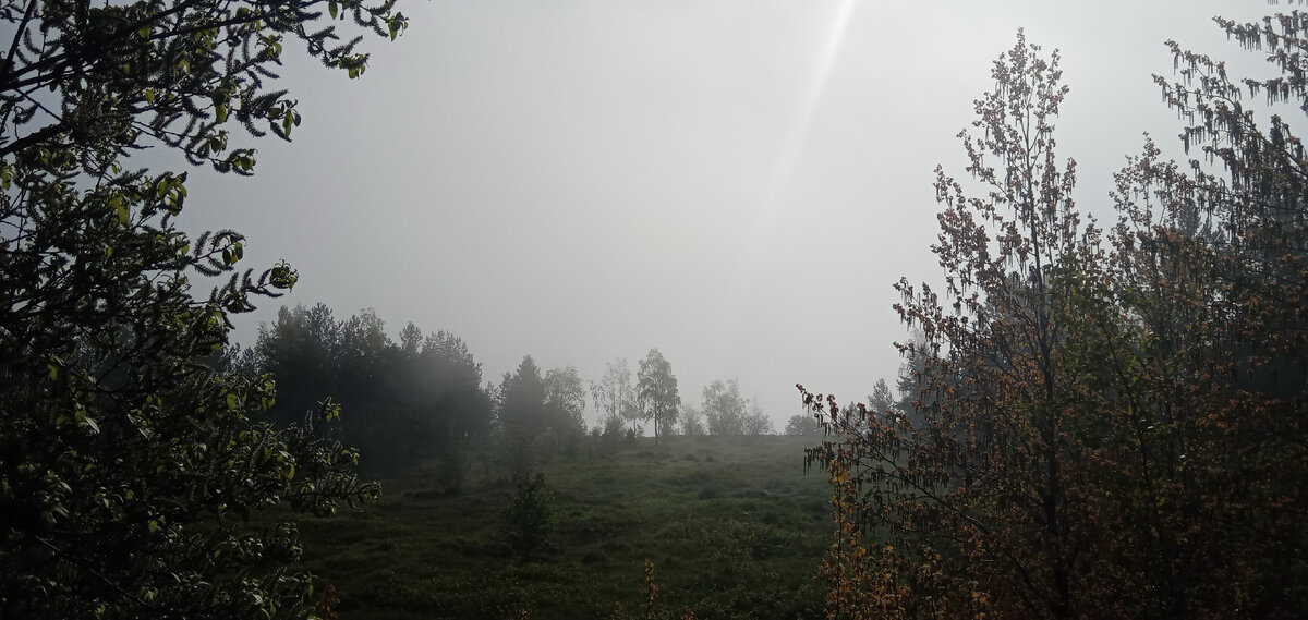 Фото Кочанов А.В.