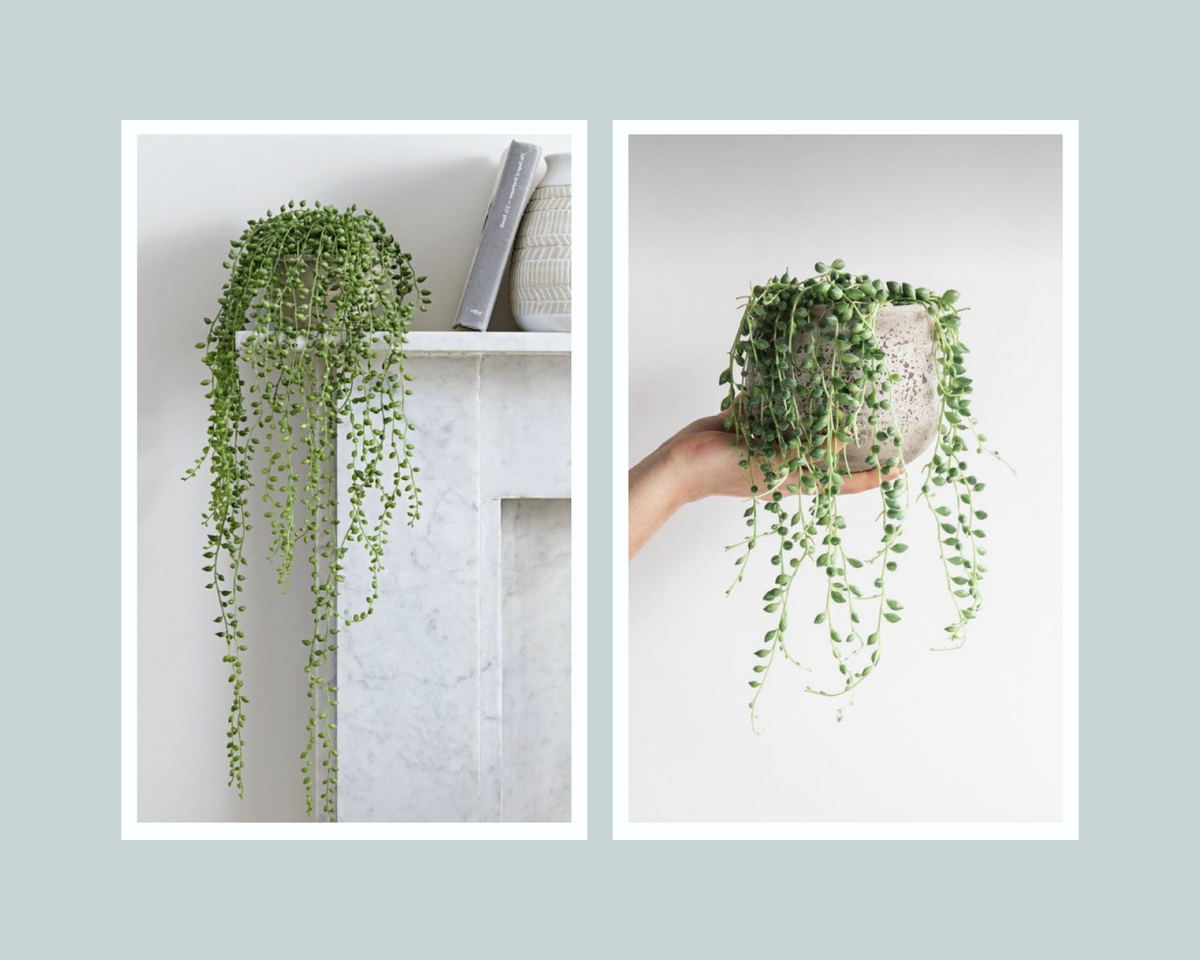 Фото из свободных источников интернета