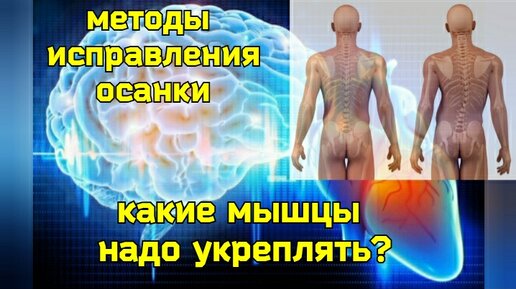 Почему жизнь мозга и сердца зависит от осанки? 2 уникальных упражнения для глубоких мышц спины и позвоночника