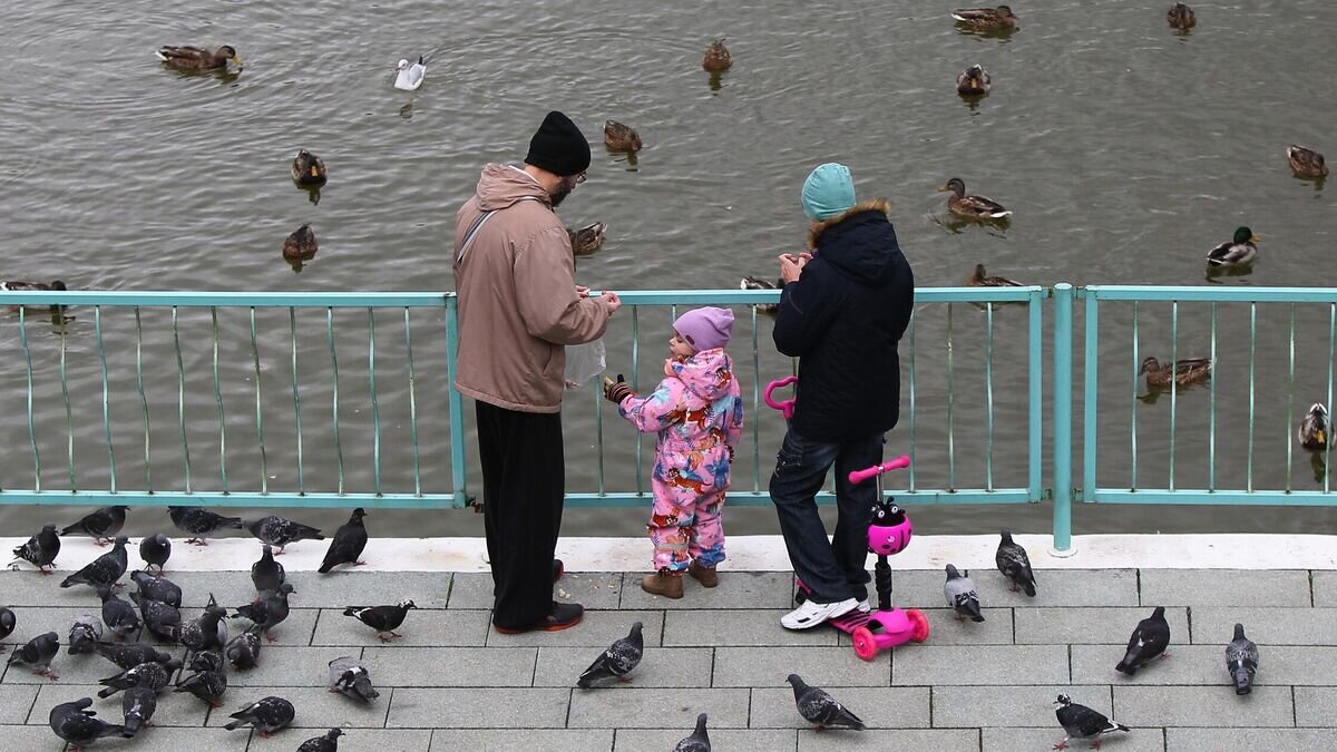    Люди кормят уток у пруда в Дюссельдорфском парке в Москве© РИА Новости / Мария Девахина
