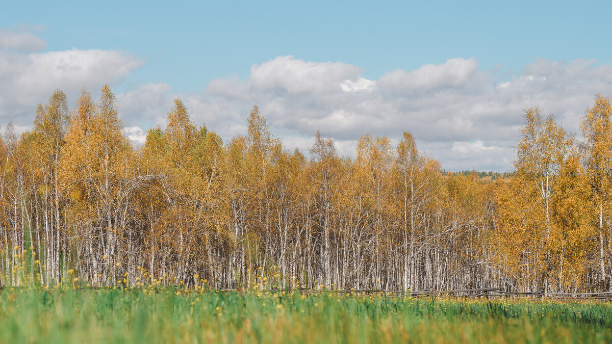 Село Тургеневка находится всего в 2-3 часах езды от Иркутска. © Фото: Анна Диденко