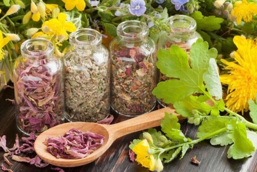 Ну конечно же с очищения организма от паразитов. 