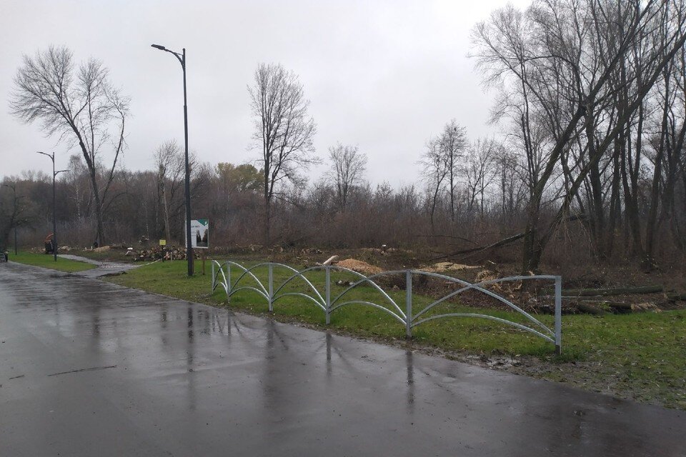     4 ноября появилась фотография, как в рязанском Лесопарке рабочие ведут вырубку деревьев возле главной аллеи.