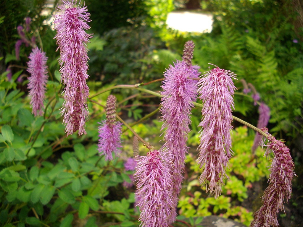 Слегка обмякли... 