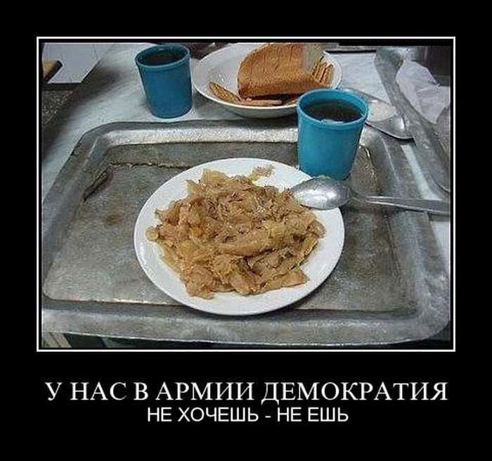 Кухня демотиватор