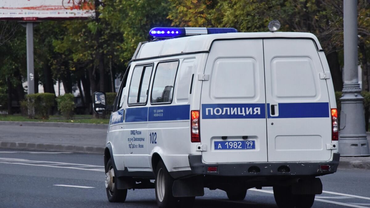    Автомобиль полиции едет по дороге© РИА Новости / Наталья Селиверстова