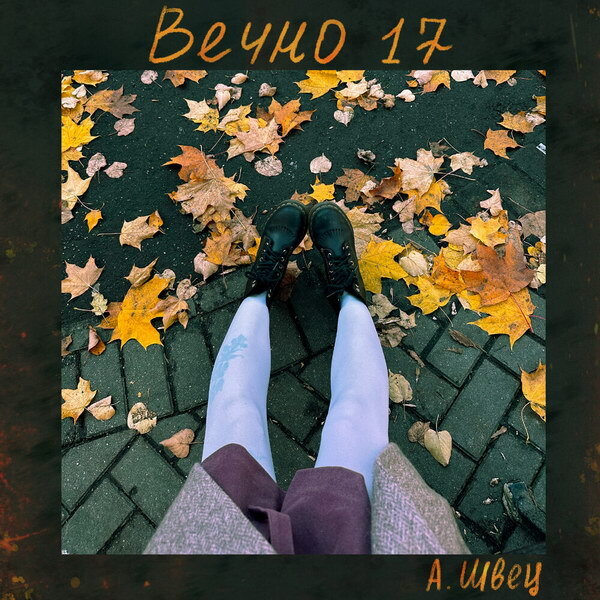     Рецензия: Алёна Швец – «Вечно 17». Школьные годы чудесные