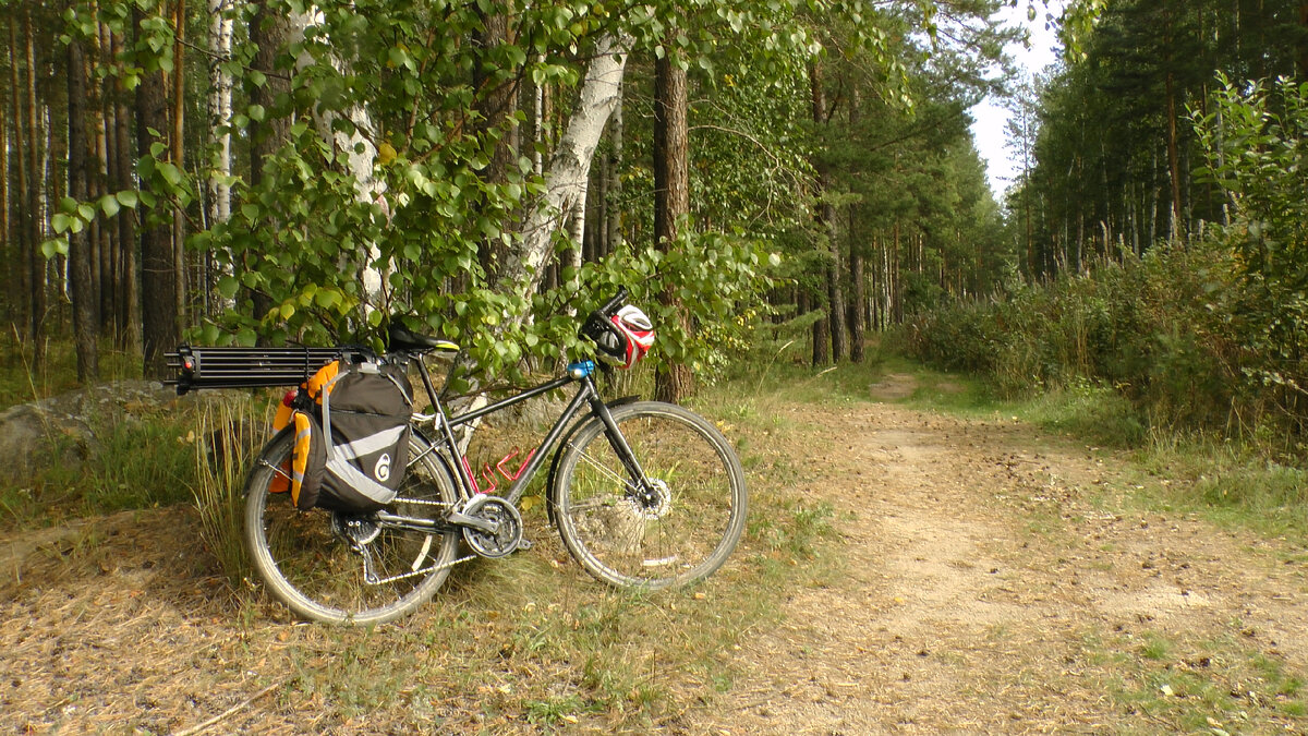 Вело Марин Мирвудс 2020. Старик GT на заслуженном отдыхе