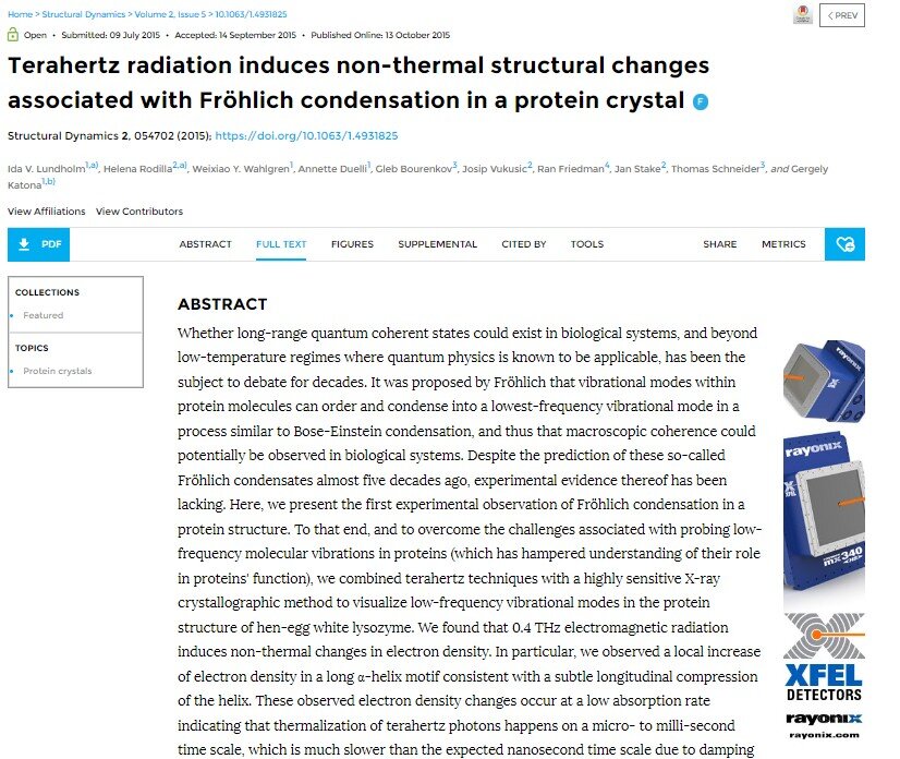 Научно-прикладная работа: Терагерцевое излучение вызывает нетепловые структурные изменения, связанные с конденсацией Фрёлиха в кристалле белка. 