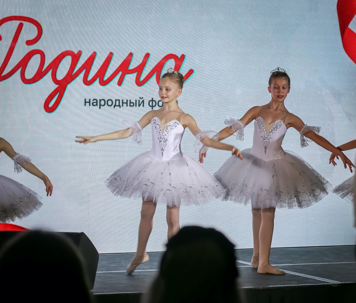 Народный фонд "Родина". Мероприятие «Русский Культурный Код»