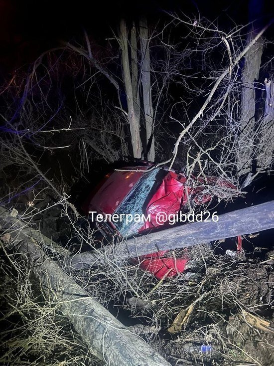     Фото: ГИБДД Ставрополья