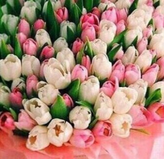 Картинка взята с просторов интернета в свободном доступе blob:https://dzen.ru/867aba34-612e-4c11-be82-f76cb5201186