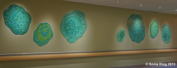 Работа Aquasphere.