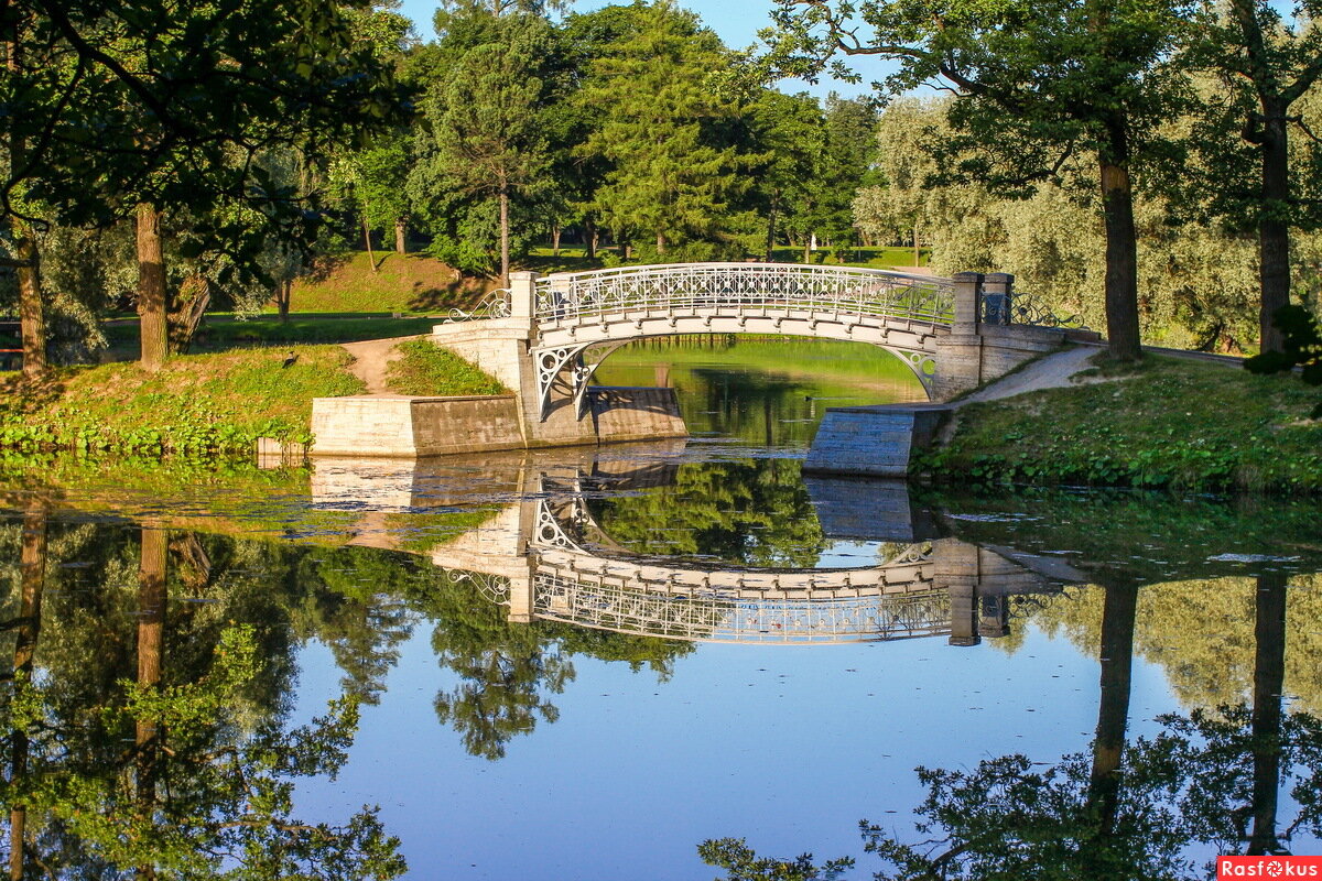 Дворцовый парк. Источник: https://goo-gl.ru/xMYI1