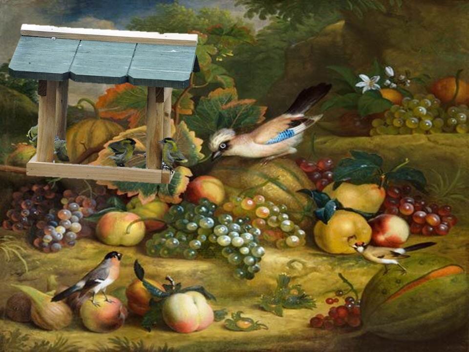 Денежные ритуалы и обряды на изобилие во время кормления птиц