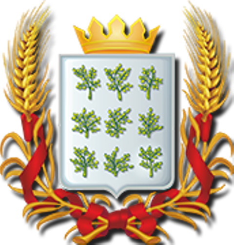 Герб проекта "Богородицкий уезд", утвержден в 2018 году, автор Раев А.А.