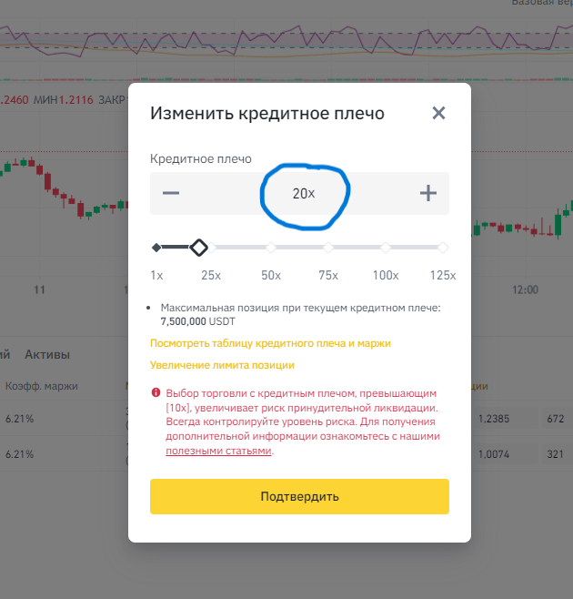 Установленное на бирже по умолчанию кредитное плечо 
