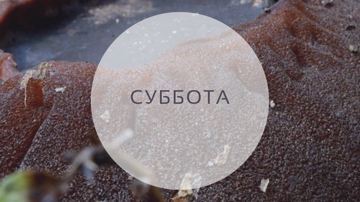 Гороскоп на 16 апреля, суббота. До 19:30 идет 15-й лунный день. Луна в Весах.