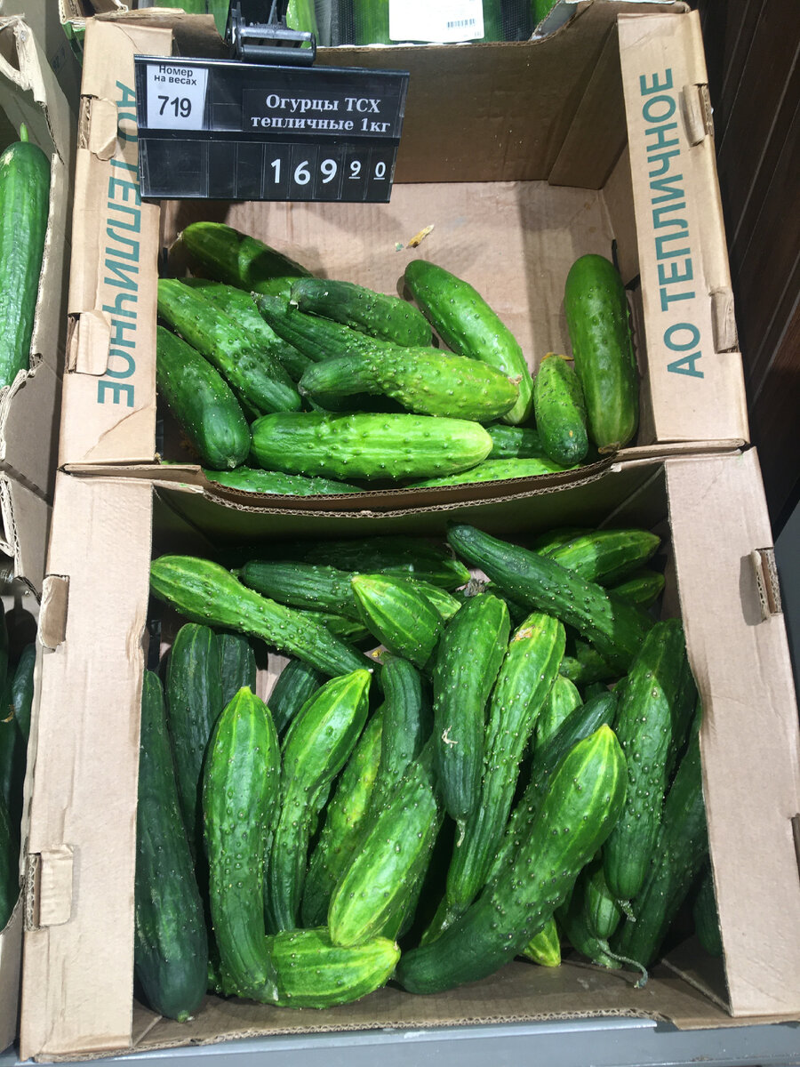 Мокрая труха за 170₽. Магазин «Перекрёсток», г.Новороссийск