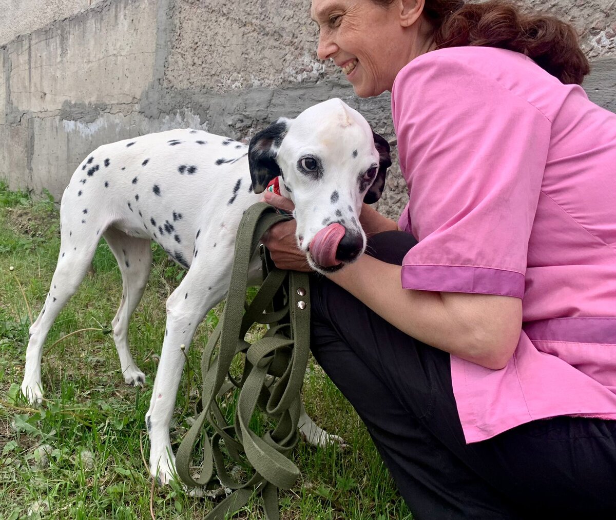 Анабель на прогулке.