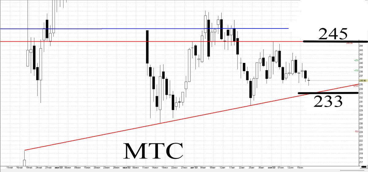 Дневной график