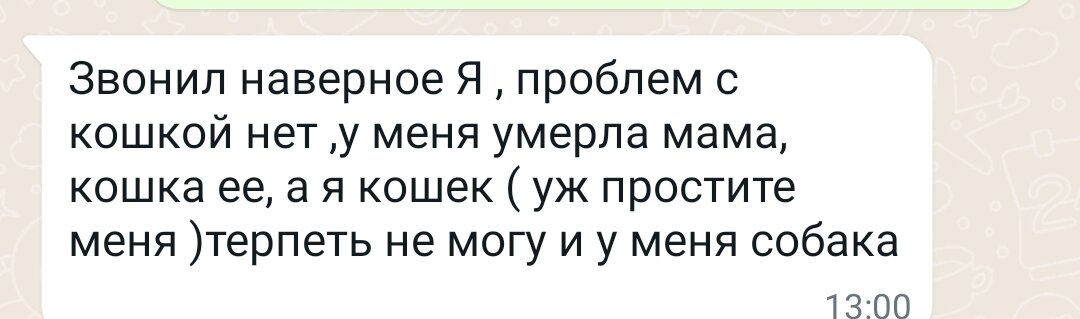 Параллельно мужчина написал в ватсап