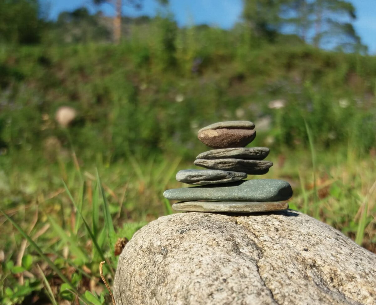 Фотографии просто для оформления:))