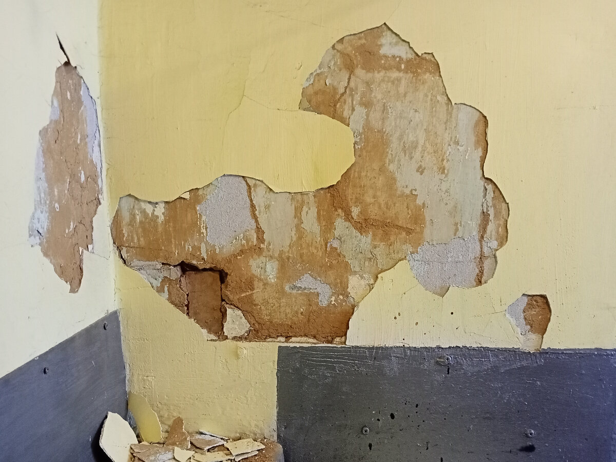 При дневном освещении