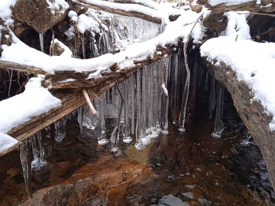     Фото: пресс-служба нацпарка "Зигальга"