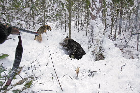    Фото из свободных источников
