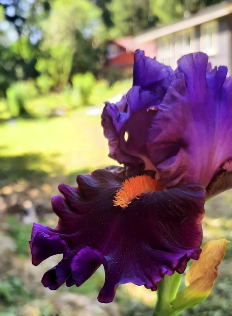 Фото автора, лето 2022