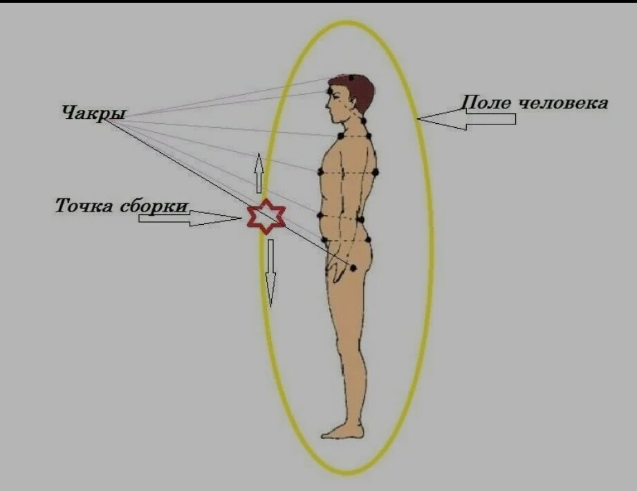 Гравитационный центр тела