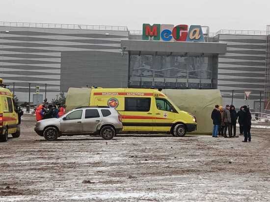   Светлана Самоделова