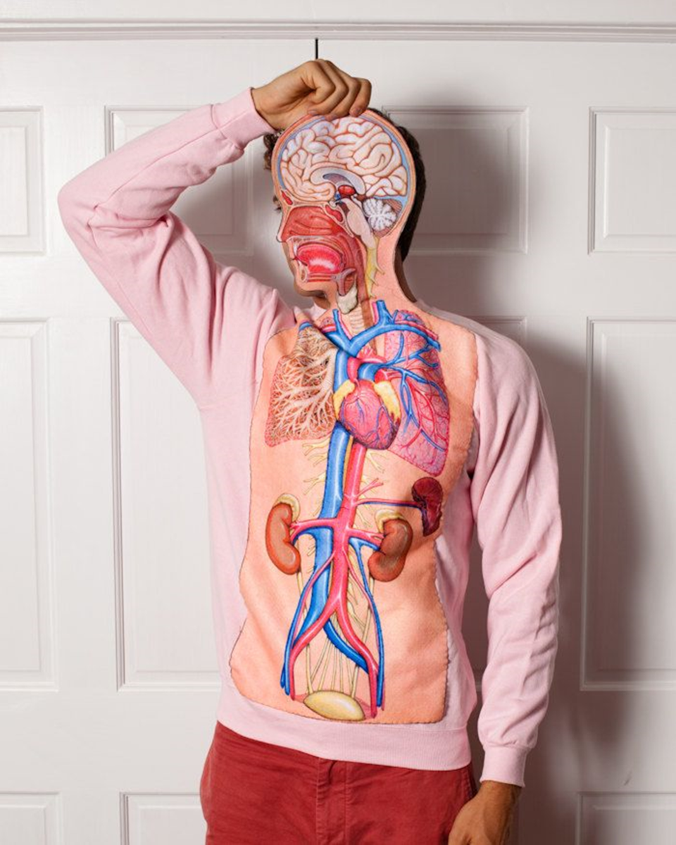 Тело человека. Футболка с органами. Человеческие органы.